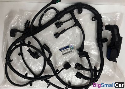 Проводка двигателя D4GA HD78 Проводка двигателя D4GA HD78